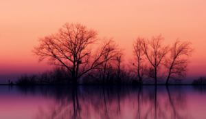 裕罗电器装配有限公司电话,裕罗电器 是做什么的