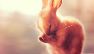 电器装配生产线图片详解,电器装配基础知识