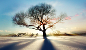 模具部主管岗位职责说明书范文,模具部主管岗位职责说明书范文大全